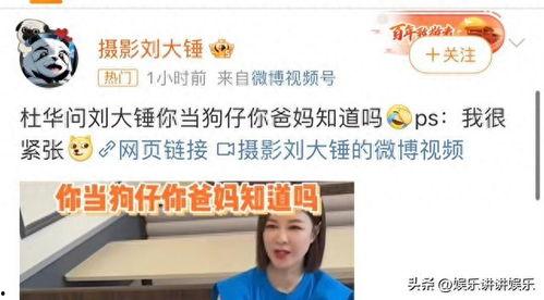 刘大锤最新爆料直播杨紫,杨紫幕后故事大曝光 第3张 刘大锤最新爆料直播杨紫,杨紫幕后故事大曝光 第3张