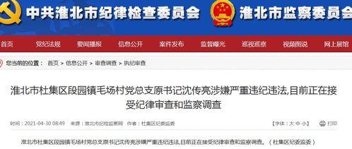 新闻报料爆料流程视频教程,视频教程全面解析  第2张