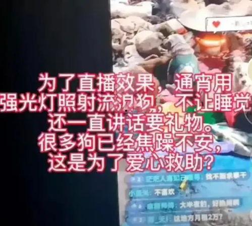爆料网红哭穷视频大全,揭秘网络现象背后的真实故事 第3张 爆料网红哭穷视频大全,揭秘网络现象背后的真实故事 第3张
